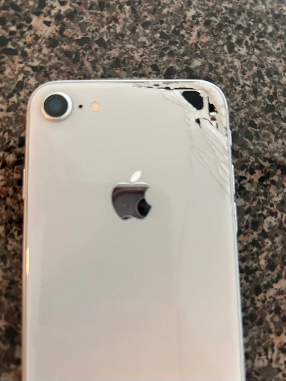 Apple iPhone 8 256GB Factory Unlocked White/Silver